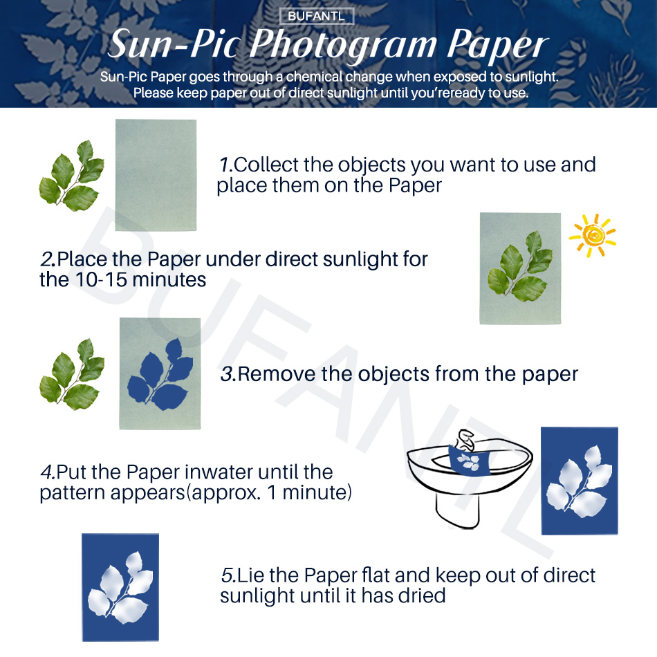 Papier Cyanotype 12 Feuilles R - Photography Lighting Beginners avis et prix